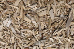 biomass boilers Whiterigg